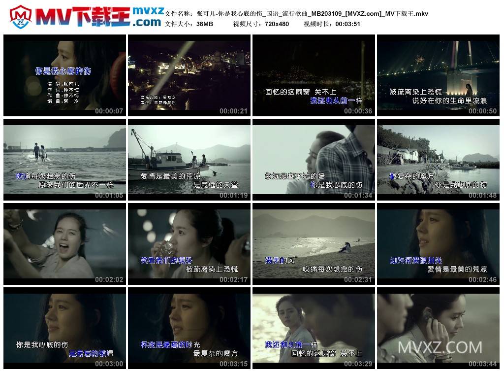 张可儿-你是我心底的伤_国语_流行歌曲_MB203109